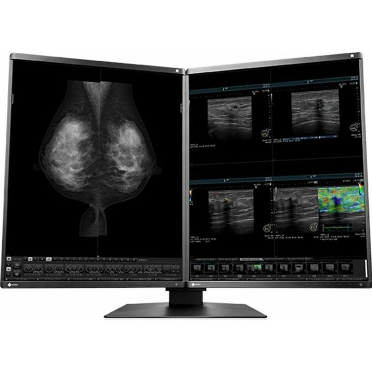 EIZO RadiForce RX570 21" Class QSXGA LED Monitor - 4:5 - Black