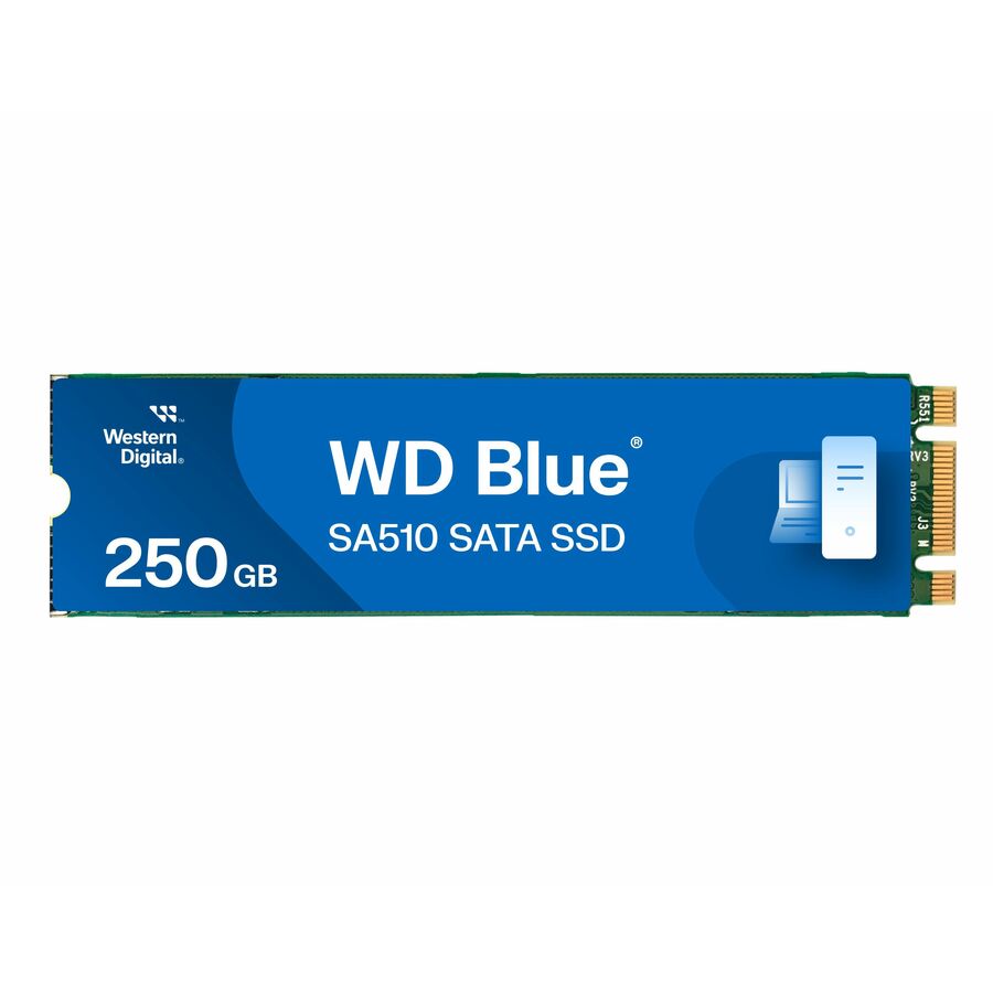 WD Blue SA510 WDS250G3B0B 250 GB Solid State Drive - M.2 2280 Internal - SATA (SATA/600)
